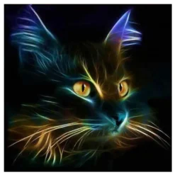 5D DIY Diamond Painting Full Diamant Kreuzstich Stickerei Malerei Katze Bilder Deko 30x30cm